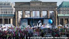 Берлін: тисячі фермерів вимагали зміни аграрної політики 