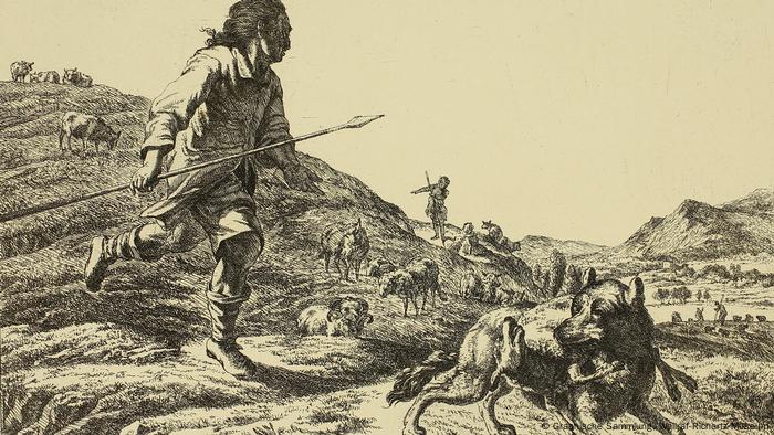 über Die Schwierige Beziehung Zwischen Mensch Und Wolf Lebensart Dw 01 02 2019