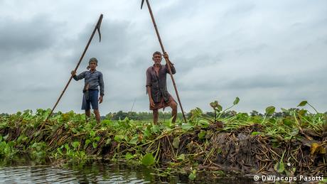 Farmers punt their floating gardens along canals in Gopalganj, Bangladesh