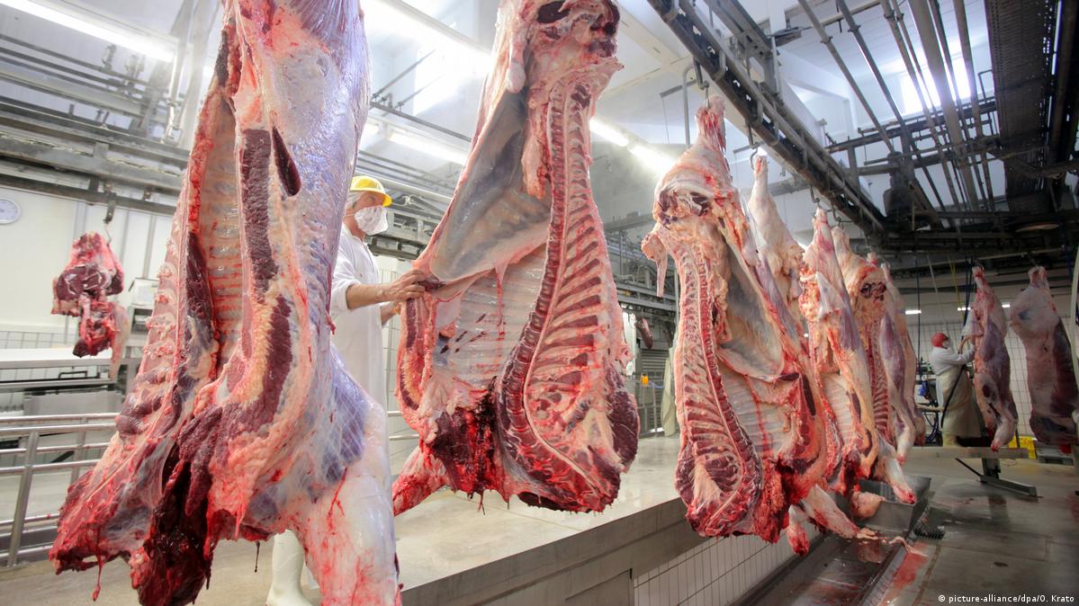 outbreak closes German slaughterhouse – 05/08/2020