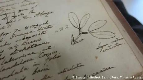 Anotações no diário de Humboldt