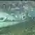 Artgentinien Emiliano Sala das Flugzeugwrack unter Wasser