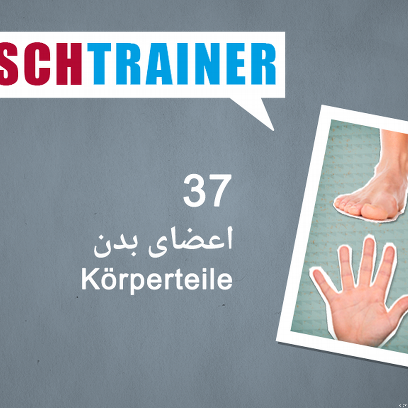 ۳۷) اعضای بدن – Deutschtrainer