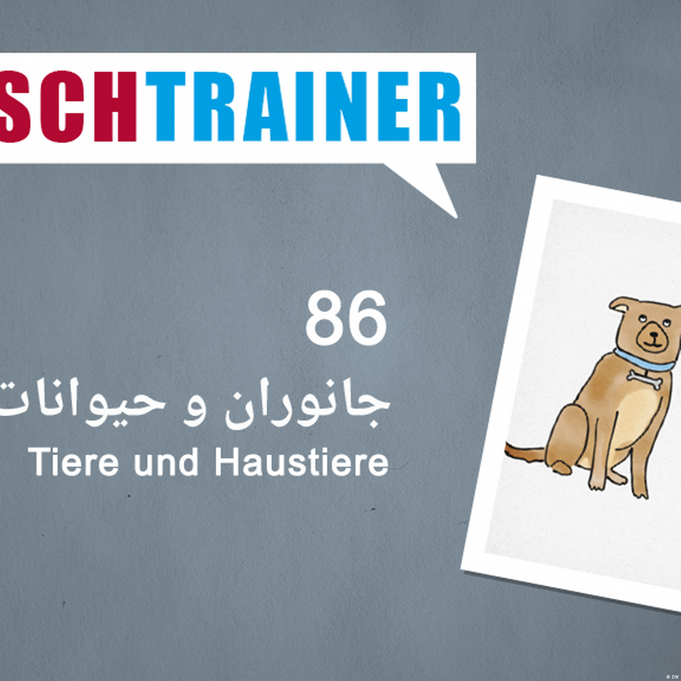 ۸۶) جانوران و حیوانات خانگی – Deutschtrainer