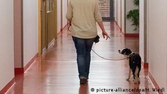Ούτε οι σκύλοι δεν είναι ασφαλείς στα γερμανικά νοσοκομεία