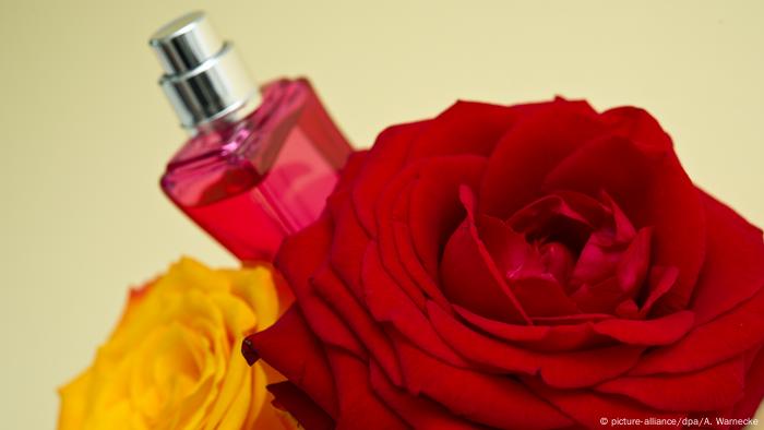 Roses in cosmetics (picture alliance / dpa / A. Warnecke)