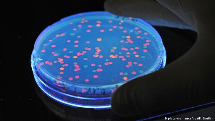  Бактериите от групата Salmonella живеят в стомашно-чревния тракт на доста животни. Но за индивида ентеробактериите постоянно водят до тежки болести. Строгото съблюдаване на разпоредбите за хигиена в кухнята, както и топлинната обработка (15 минути са достатъчно) най-много на месните и рибните артикули оказват помощ да се избегне разпространяването на салмонелите. 