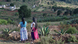 Two women look out onto the Mexican landscape. Two women look out onto the Mexican landscape.