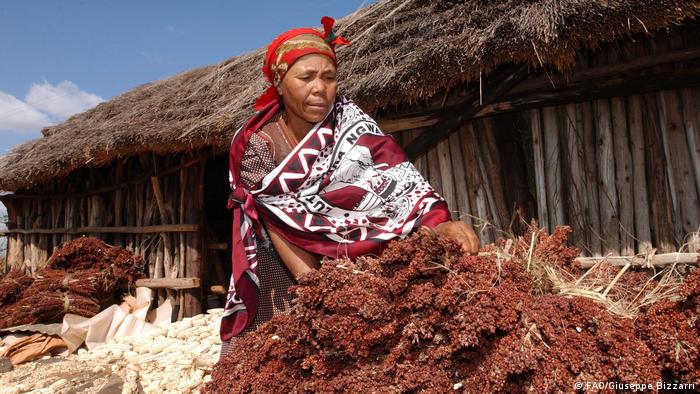 A woman stands in front of a long wooden hut next to a pile of dried plants