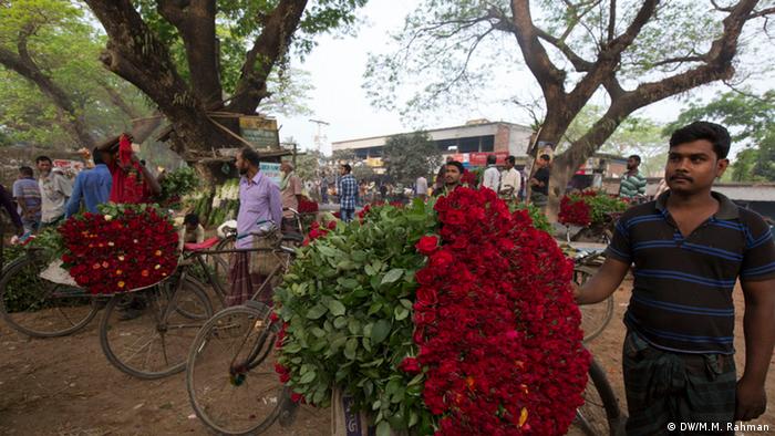Bangladesch Blumenzucht in Jessore (DW/M.M. Rahman)