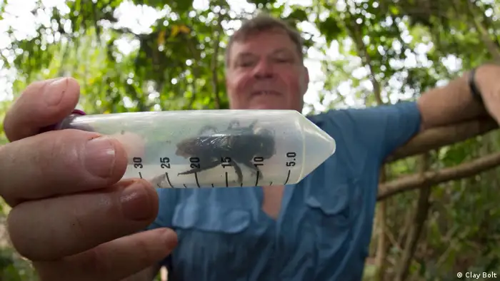 A man (in the background) holds up a plastic tube to the camera with a 1.5. inch bee inside (foreground)