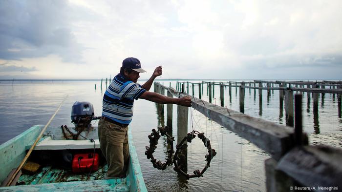 Fischer im Boot (Foto: Reuters/A. Meneghini )