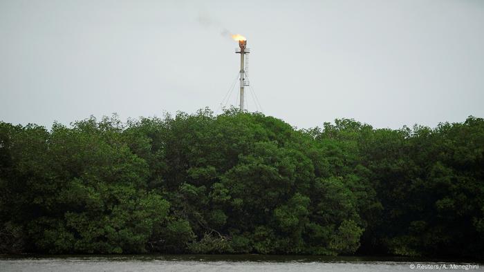 Flamme über Mangrovenwald (Foto: Reuters/A. Meneghini )