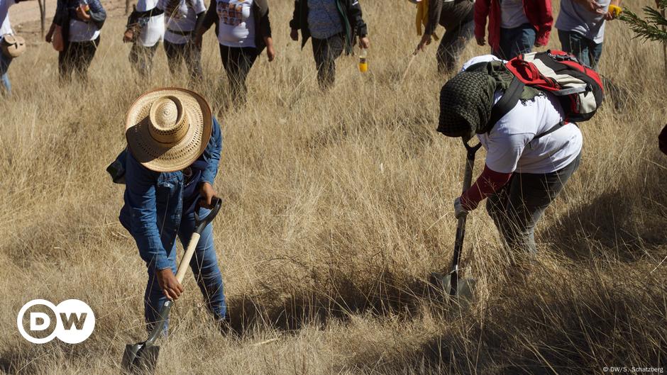 Mexican Families Search For Missing Loved Ones – Dw – 03 01 2019