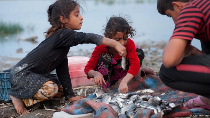 Three children sort through their catch of fish on the banks of the marsh (photo: John Wreford)