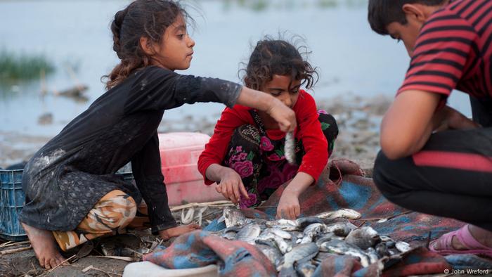 Children eating small fish