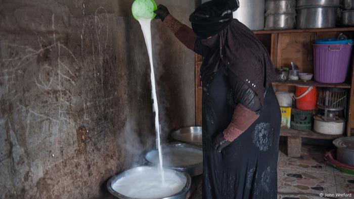A woman pours a long, white stream a milk into a bucket (photo: John Wreford)