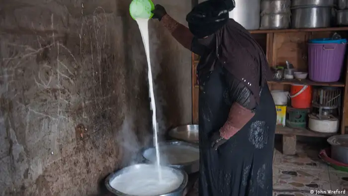 A woman pours a long, white stream a milk into a bucket (photo: John Wreford)