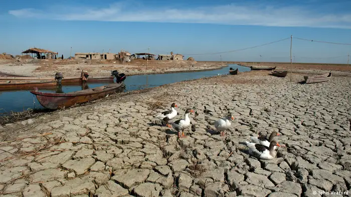 Geese walk across dry, cracked land next to a shallow river. A canoe is on the river and basic structures can be seen in the distance (photo: John Wreford)