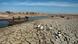 Drought in southern Iraq Drought in southern Iraq