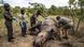 Afrika Wilderei l Arbeiter der Ermittlungsstelle für Umweltkriminalität im Kruger National Park Skukuza Afrika Wilderei l Arbeiter der Ermittlungsstelle für Umweltkriminalität im Kruger National Park Skukuza