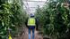 A police officer walks through a greenhouse A police officer walks through a greenhouse