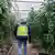 A police officer walks through a greenhouse