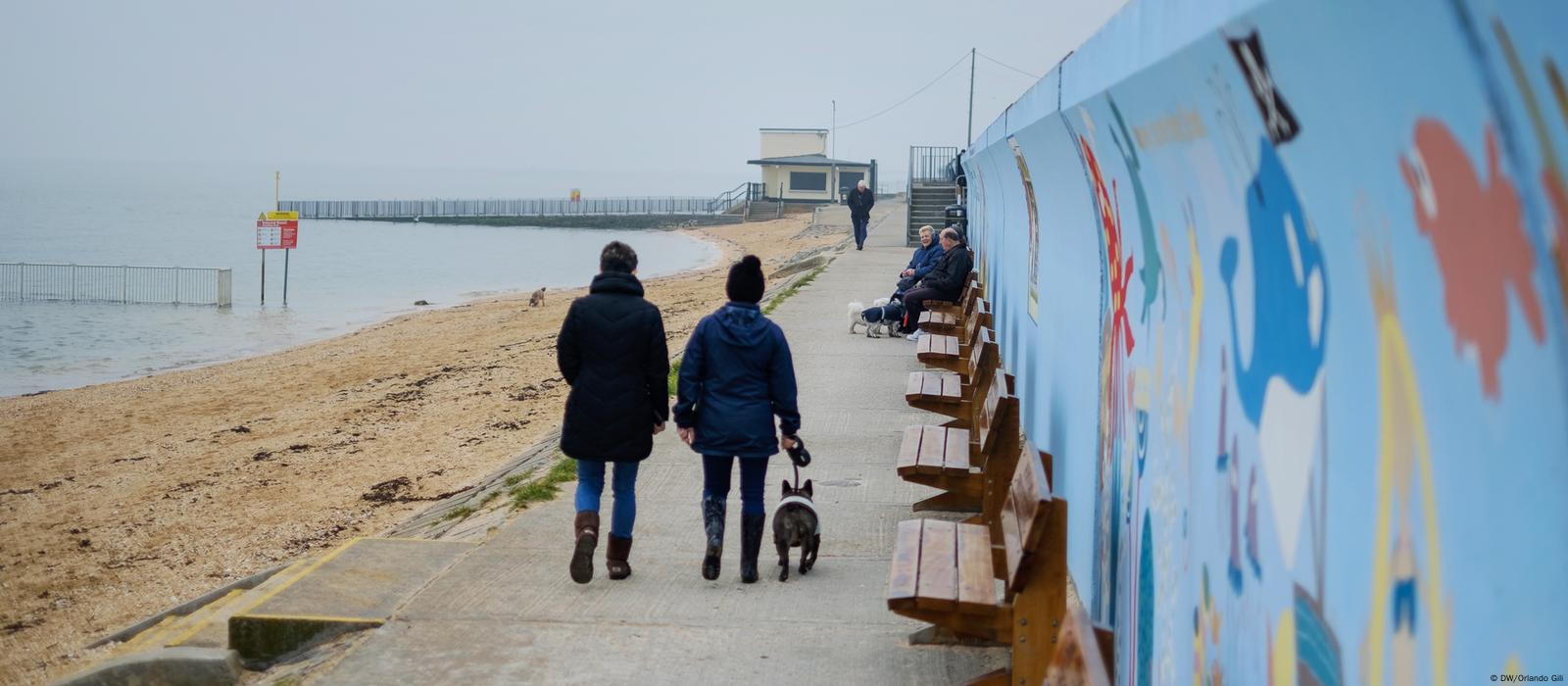 can dogs go on canvey island beach