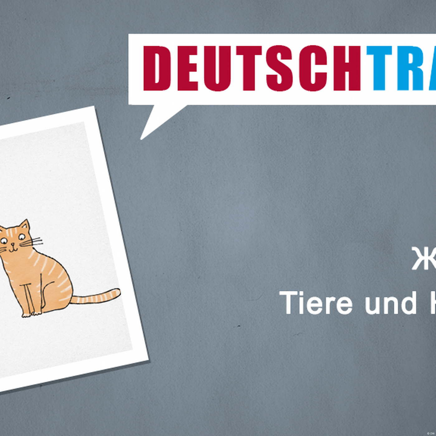 Deutschtrainer – 86 Животные