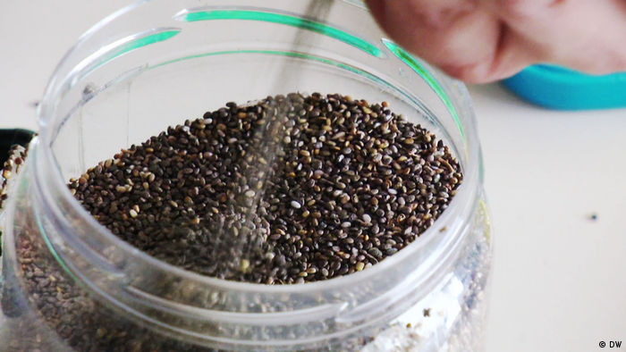 DW Eco Africa - Chia seeds in South Africa