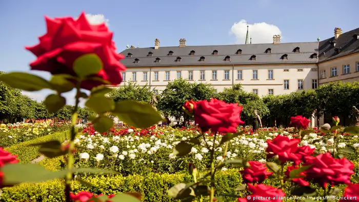 Rose Garden in Bamberg (picture-alliance/Arco Images/P. Schickert)