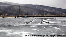 10.03.2019, Russland: IRKUTSK REGION, RUSSIA - MARCH 10, 2019: Installing pipes for withdrawing of water from Lake Baikal during construction works of the Akvasib bottling plant in the village of Kultuk. Earlier the environmental prosecutor's office reported that the plant construction impacts a unique swamp where rare birds stop while migrating. Kirill Shipitsin/TASS Foto: Kirill Shipitsin/TASS/dpa |