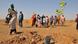 Women plant trees in a dry landscape Women plant trees in a dry landscape
