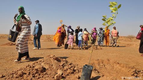 What is happeing in the Sahara???