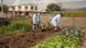 Two women rake in a city garden in Quito, Ecuador Two women rake in a city garden in Quito, Ecuador