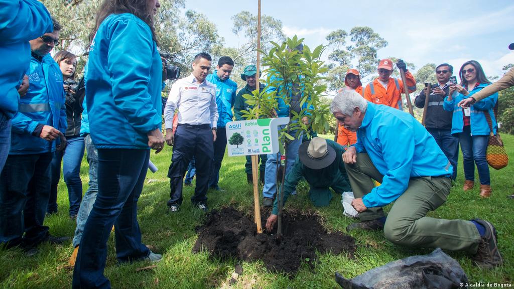 Bogotá: tala de árboles, nuevas siembras y falta de transparencia |  Ecología | DW | 20.03.2019