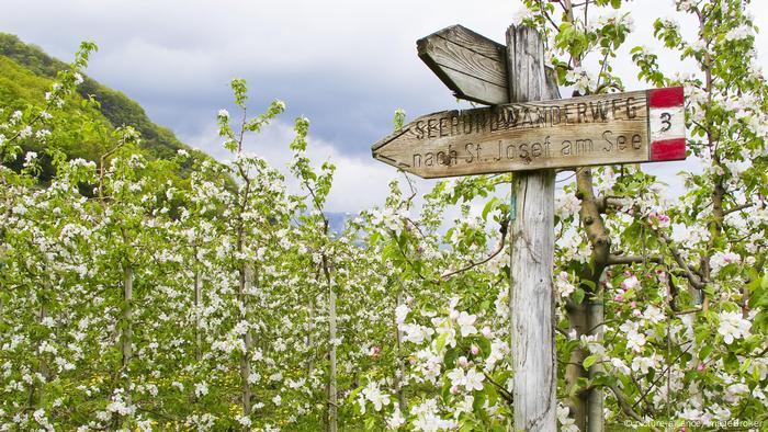 Ein Wegweiser steht vor blühenden Apfelbäumen in Südtirol, Italien
