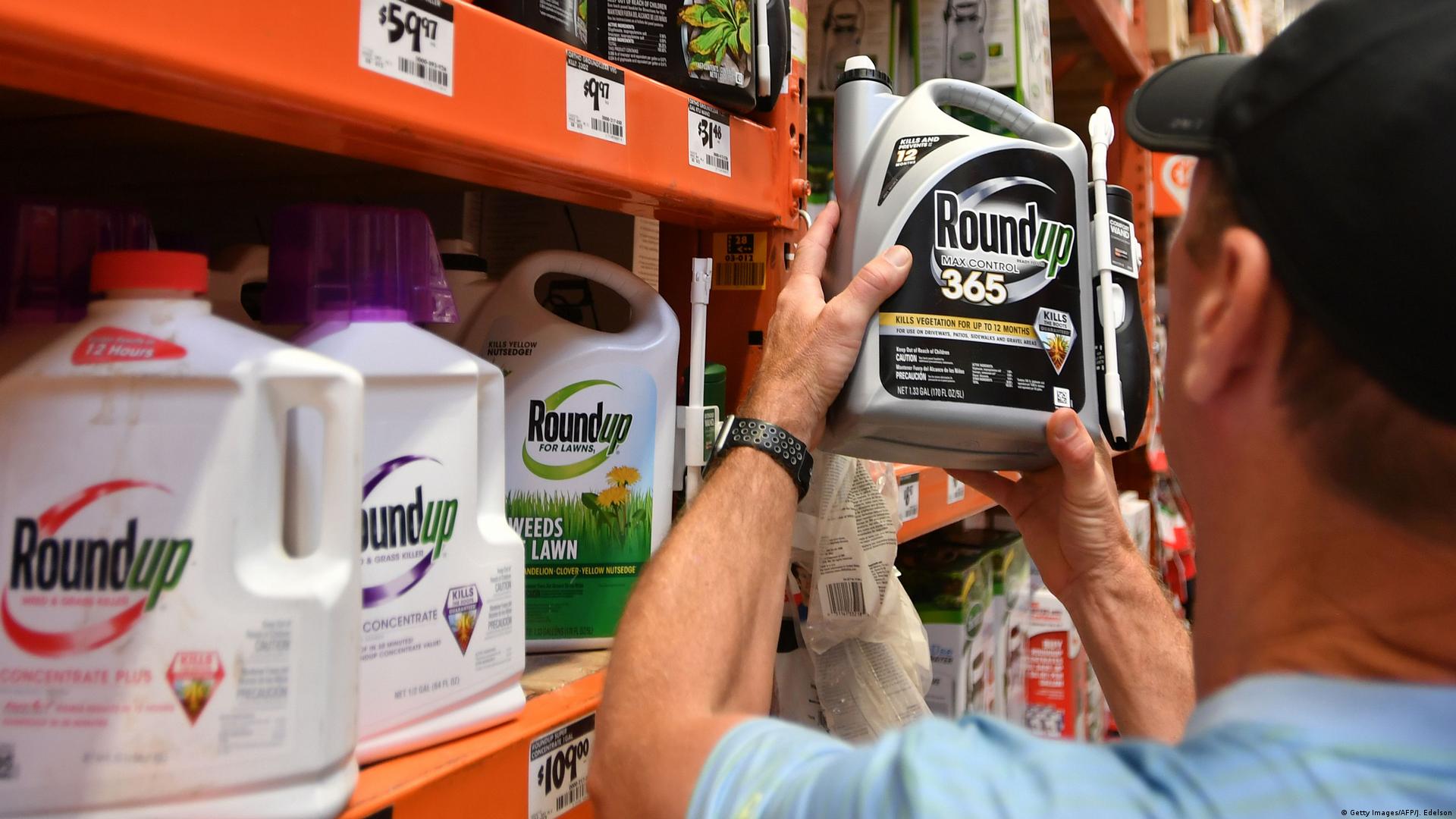 Bayer to settle Monsanto false labeling lawsuit – DW – 03/31/2020