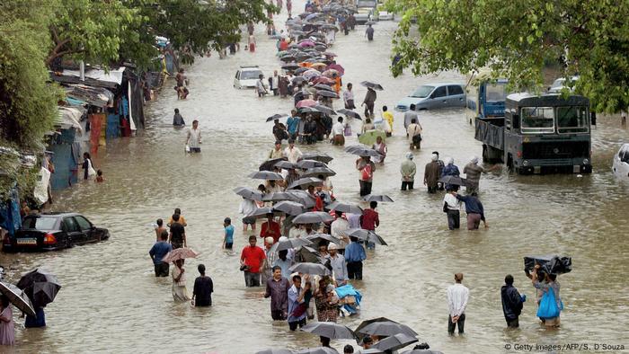 Saving Mumbai′s natural mangrove buffer against rising tides | Global ...