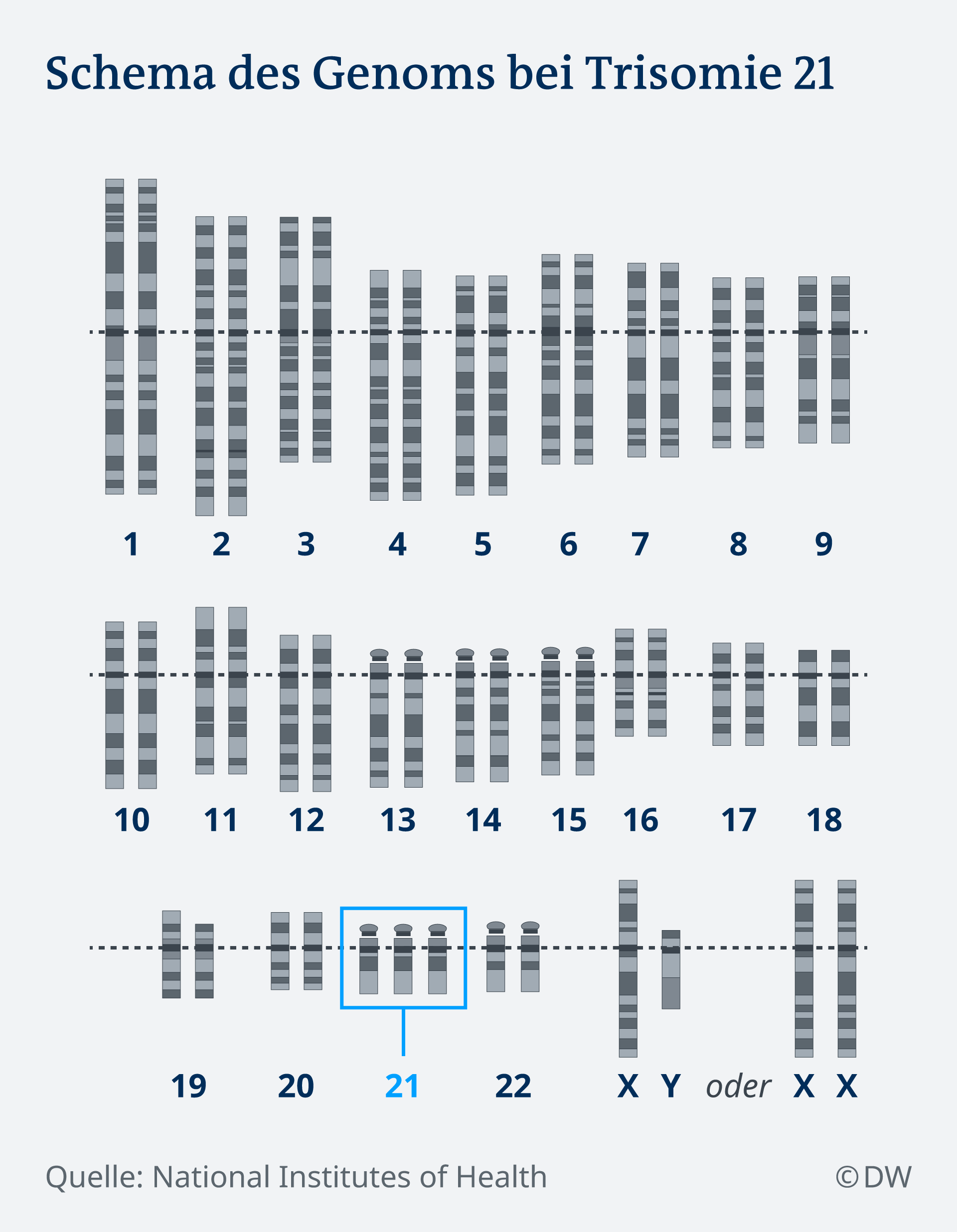 Infografik Genom von Menschen mit Trisomie 21 