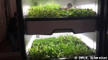 Der Plantcube des Start-ups Agrilution. Vertical Farming in der Einbauküche
Beide Fotos von Kerstin Schweizer 
