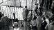 July 1975: photo-search display by former SS members at Karlburg, now Karlstadt, Bavaria July 1975: photo-search display by former SS members at Karlburg, now Karlstadt, Bavaria