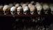 Human skulls preserved are exhibited on April at the Genocide memorial in Nyamata, Human skulls preserved are exhibited on April at the Genocide memorial in Nyamata,