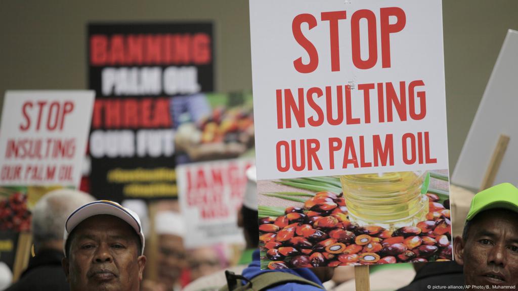 Malaysia Threatens To Raise Stakes In Eu Palm Oil Spat Business Economy And Finance News From A German Perspective Dw 27 03 2019