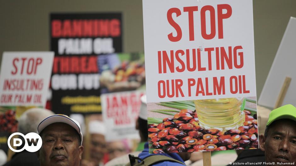 Malaysia threatens to raise stakes in EU palm oil spat | Business | Economy and finance news from a German perspective | DW | 27.03.2019
