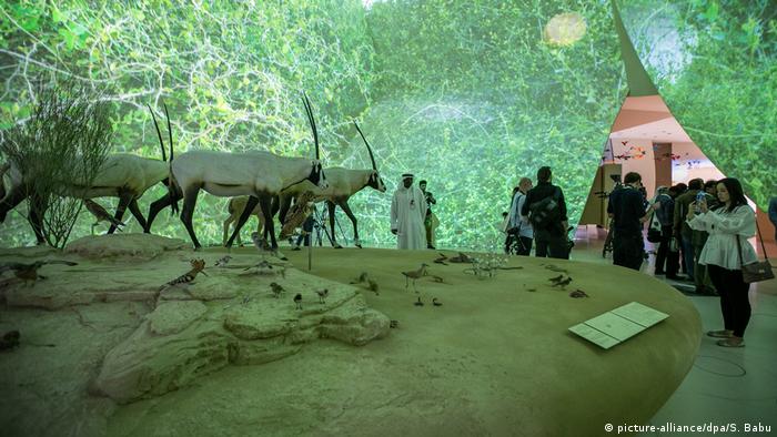 Blick in den Ausstellungsraum mit einem Wüstenszenation und Antilopen Doha (picture-alliance/dpa/S. Babu)