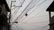 A web of power lines in Caracas, Venezuela A web of power lines in Caracas, Venezuela
