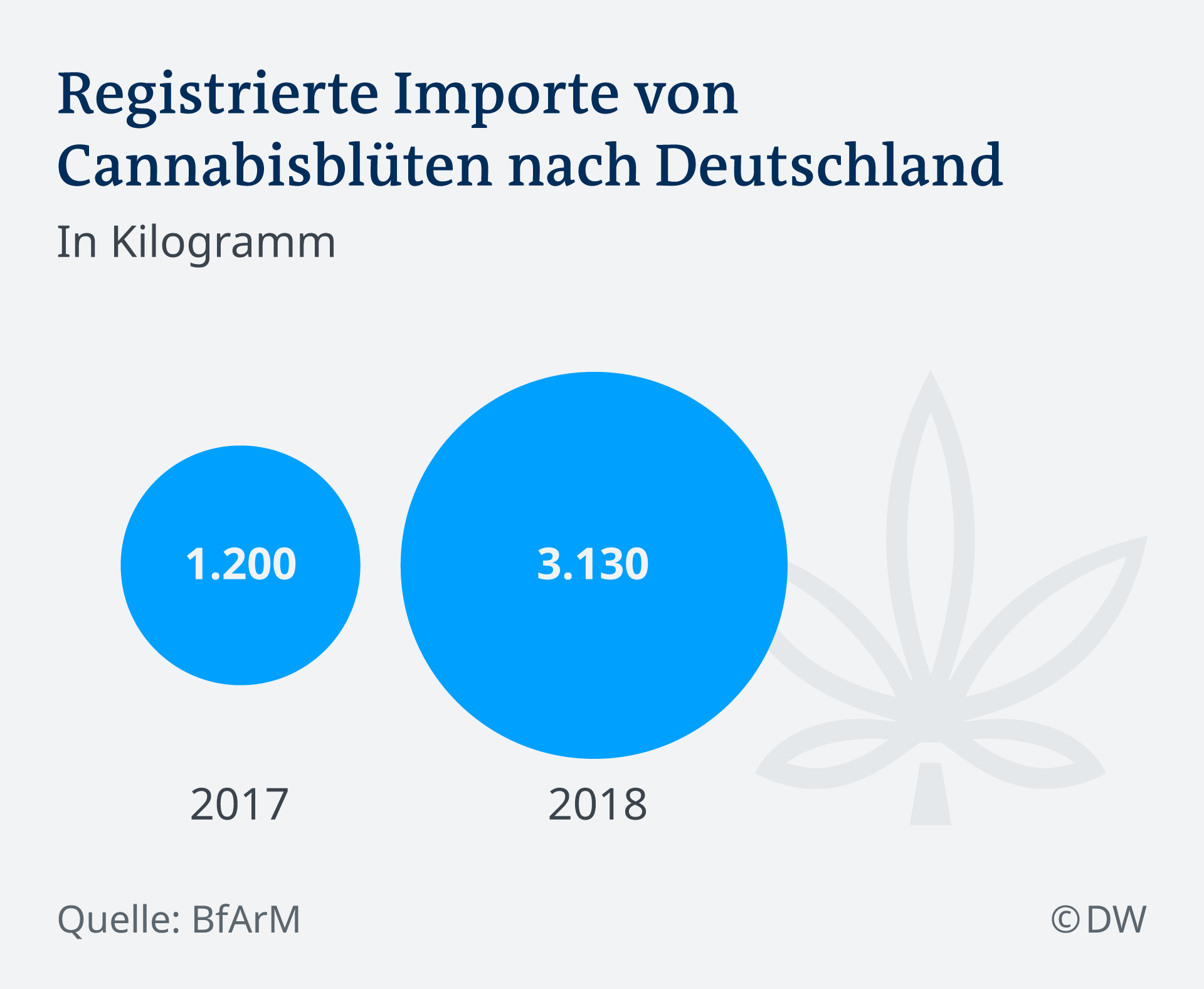 Cannabis: Deutschlands Graszüchter Stehen Fest | Wirtschaft | DW | 05. ...