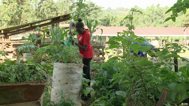 INTEGRATING COMPUTER-ASSISTED AGRICULTURAL LEARNING INTO PRIMARY EDUCATION IN UGANDA: FROM YOUNG MINDS AND LOCAL SCHOOL PROJECTS TO MARKET-RESPONSIVE AGRICULTURAL DEVELOPMENT