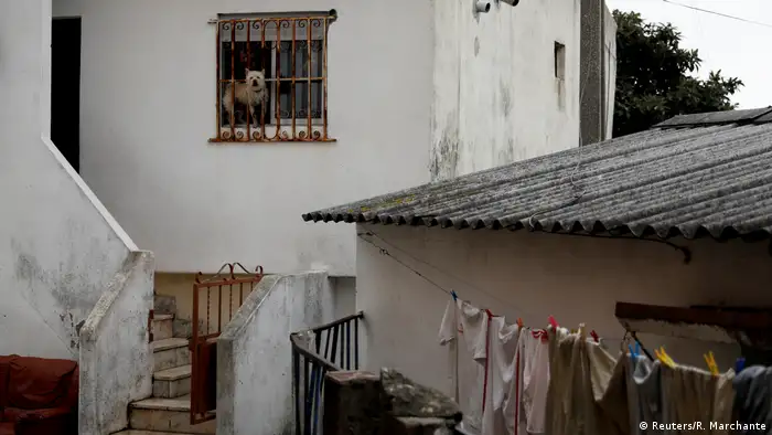 Portugal Lissabon Kapverdische Kultur im Stadtviertel Cova da Moura | Hund in Fenster (Reuters/R. Marchante)